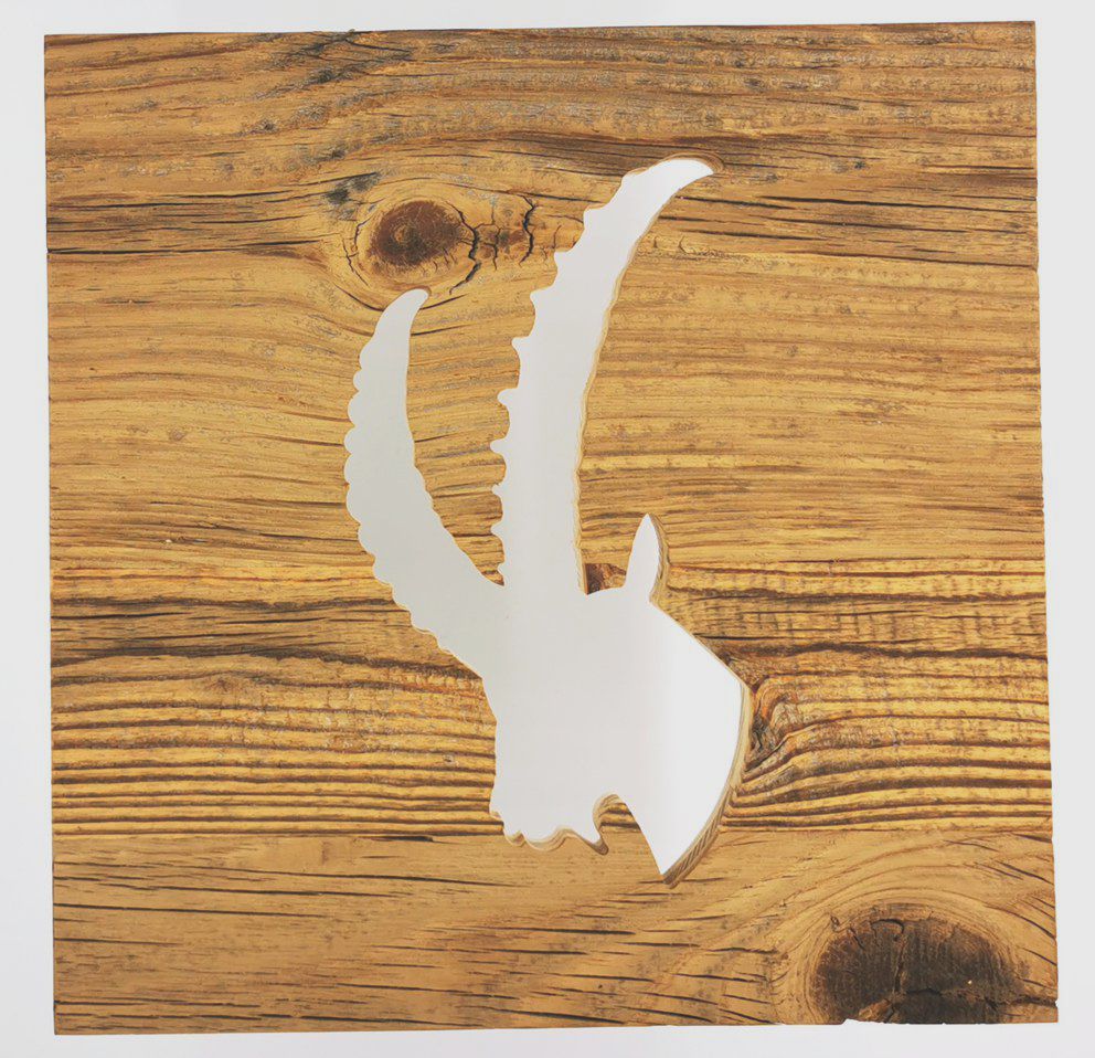 Altholz Wandbild Steinbock2 30 x 30 cm - Alpinara.de